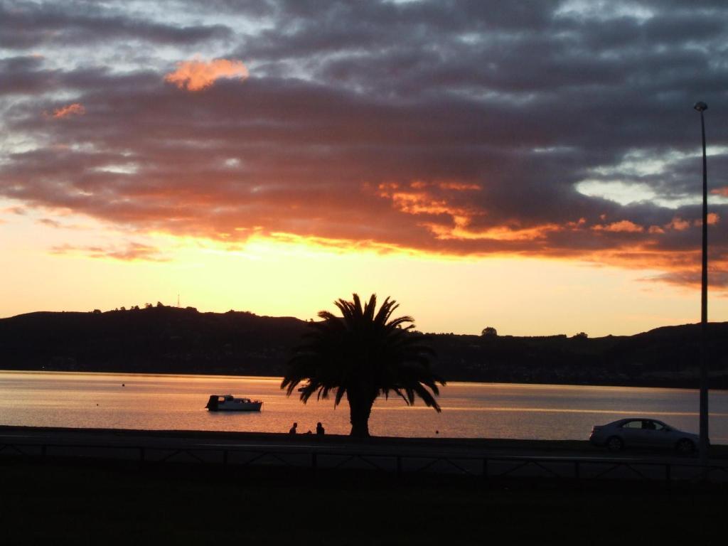 Chelmswood Motel Taupo Værelse billede